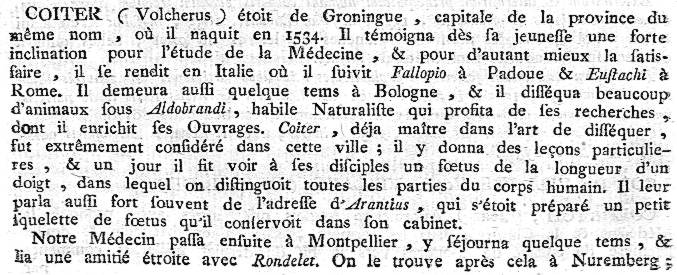 coiter-volcher